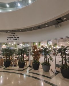 הכניסה המרשימה לקפה תמרה – מסעדה חלבית בירושלים עם עיצוב מודרני וצמחייה טבעית