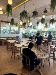מסעדה כשרה למהדרין בירושלים – חלל פנימי מואר עם צמחייה ירוקה תלויה, שולחנות ערוכים וסועדים בקפה תמרה
